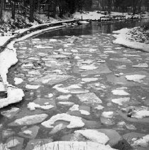 Snow Covered Ice Floes at Perch Creek
